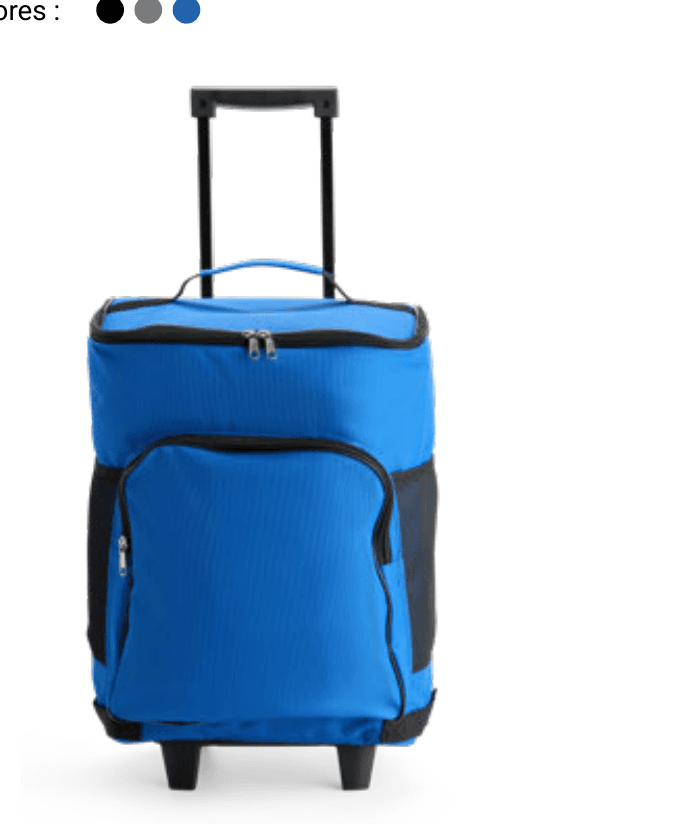 Bolsa Térmica com Rodinhas 30L