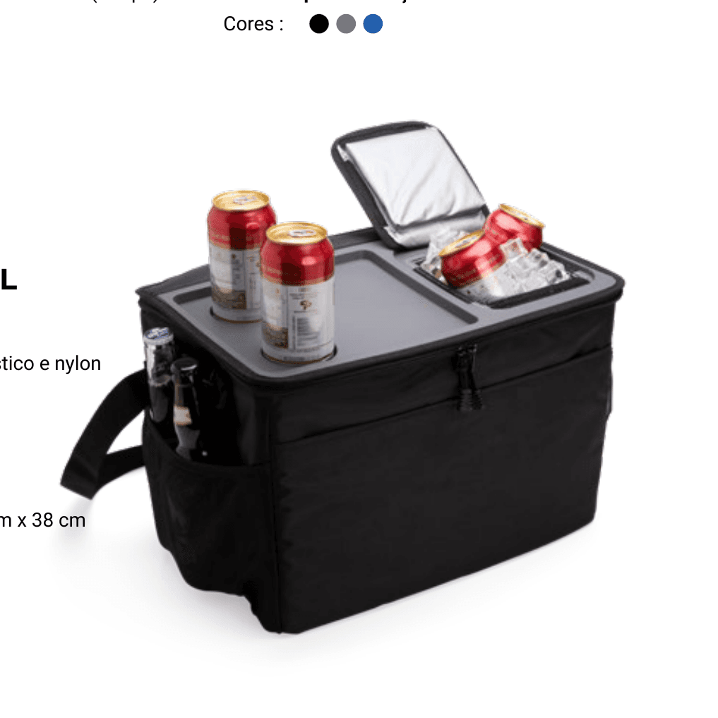 Bolsa Térmica 33L